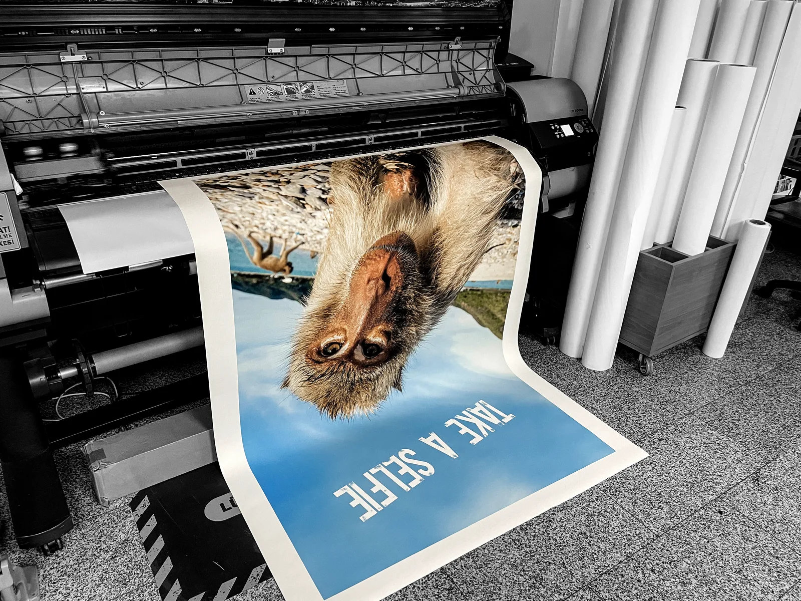 Poster Baskı