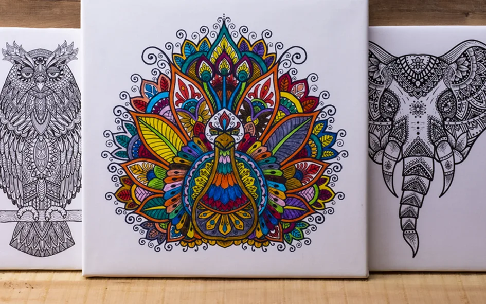 Canvas Baskı